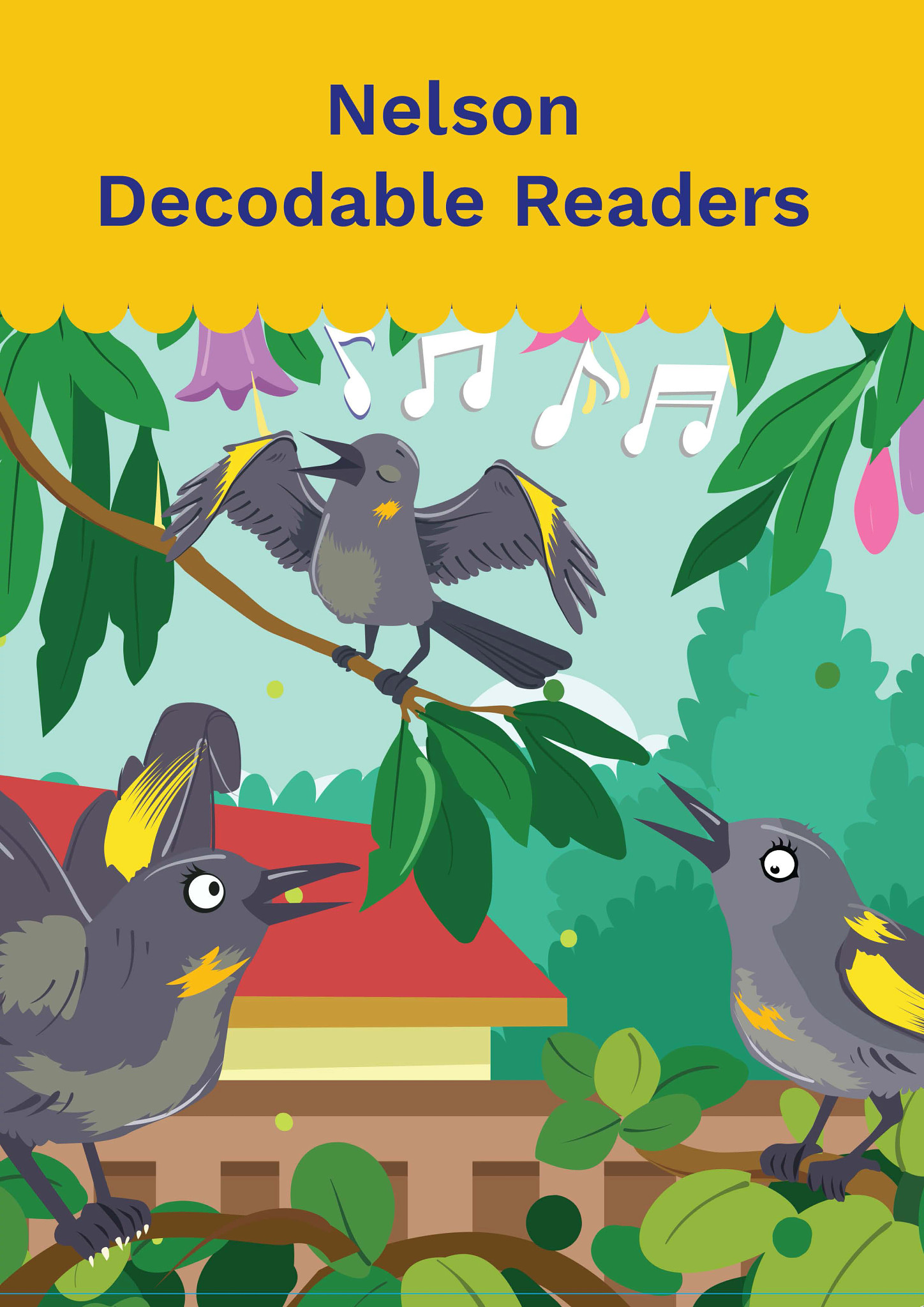 Nelson Decodable Readers Poster