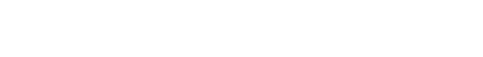 Nelsonnet Logo