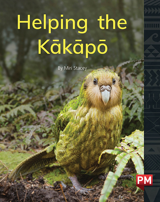 Helping the Kakapo_30398
